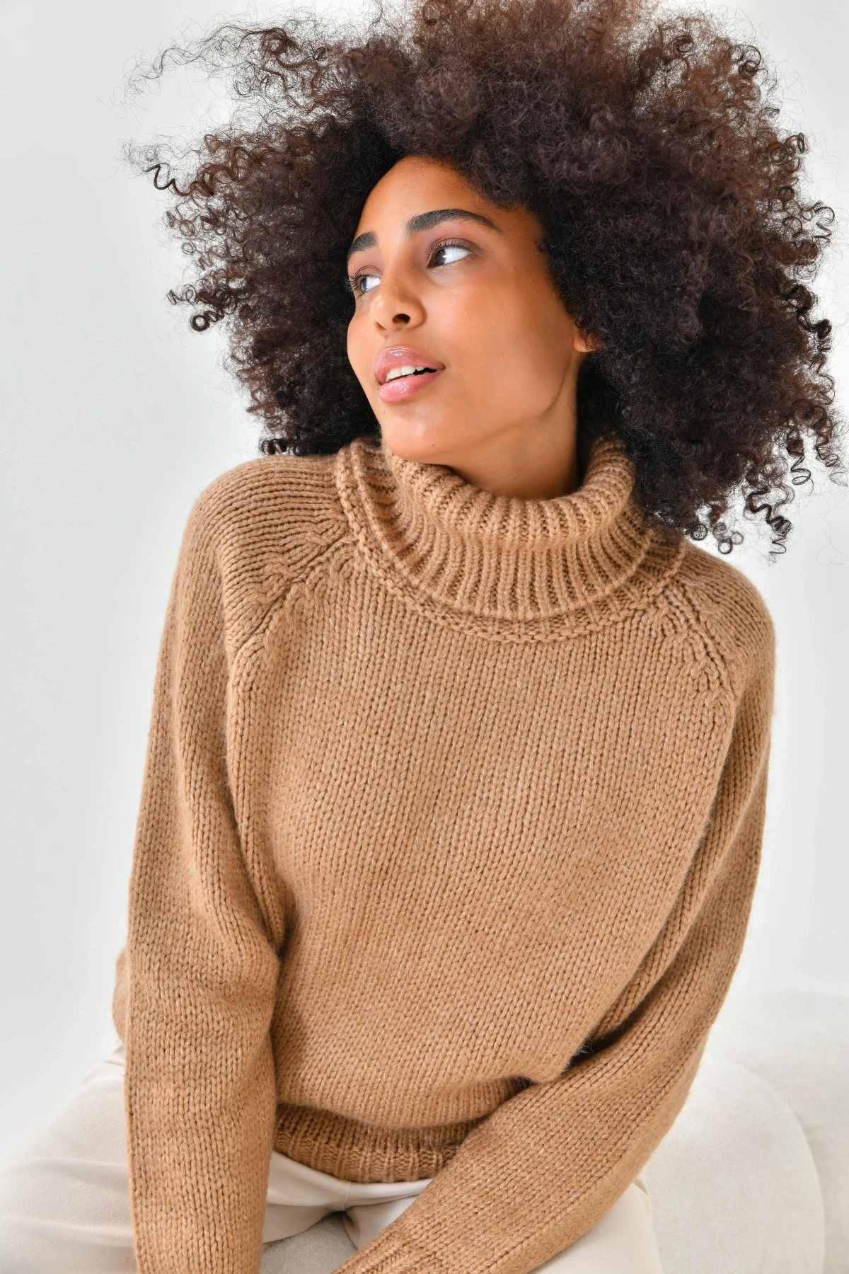 Kadın Balıkçı Yaka Kaşkorse Triko Kazak 223006