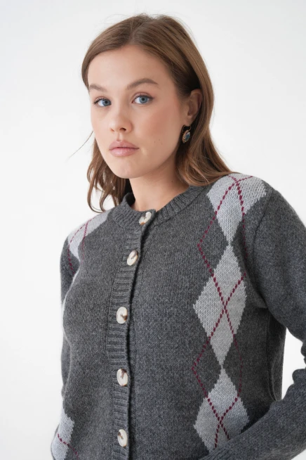 Kadın Antrasit Bisiklet Yaka Düğme Detay Desenli Triko Hırka