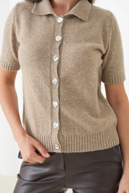 Kadın Polo Yaka Düğme Detay Kısa Kol Simli Triko Hırka