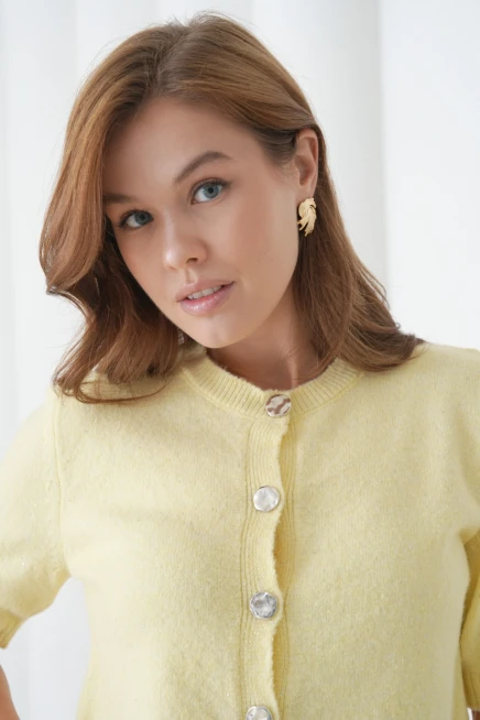 Kadın Bisiklet Yaka Düğme Kapama Yün Karışımlı Simli Triko Kazak 8643Sw