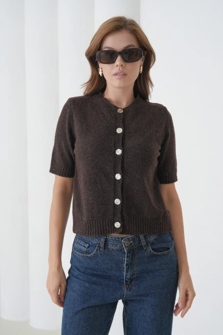 Kadın Bisiklet Yaka Düğme Kapama Yün Karışımlı Simli Triko Kazak 8643Sw