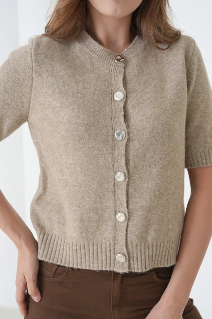 Kadın Bisiklet Yaka Düğme Kapama Yün Karışımlı Simli Triko Kazak 8643Sw