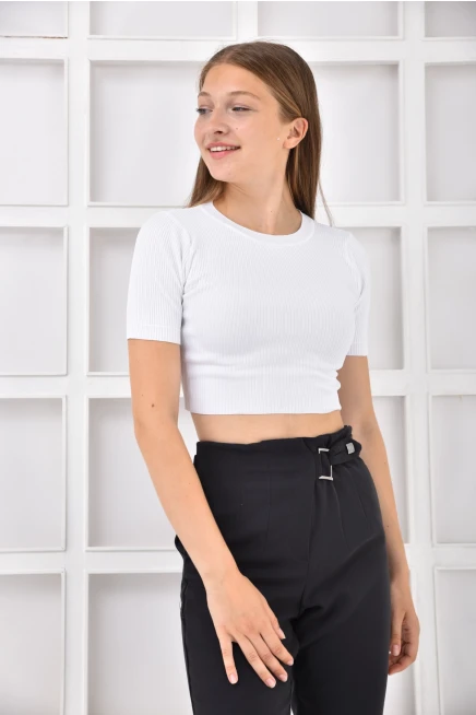 Womens Crew Neck Basic Crop Knitwear Blouse