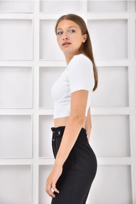 Womens Crew Neck Basic Crop Knitwear Blouse