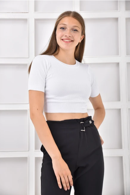 Womens Crew Neck Basic Crop Knitwear Blouse
