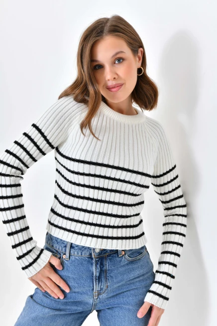 Bisiklet Yaka Çizgili Uzun Kollu Triko Kazak