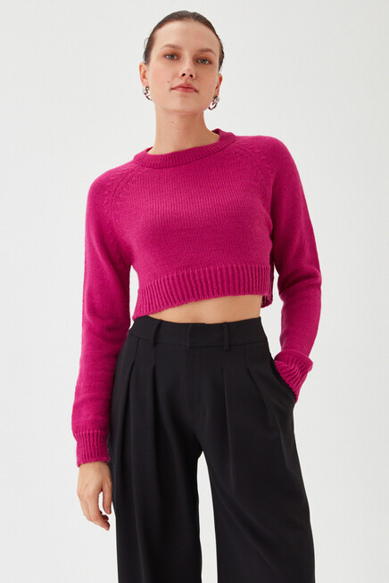 Womens Purple Crew Neck Soft Textured Crop Knitwear Sweater