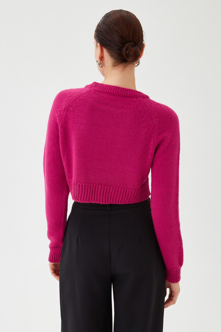 Womens Purple Crew Neck Soft Textured Crop Knitwear Sweater