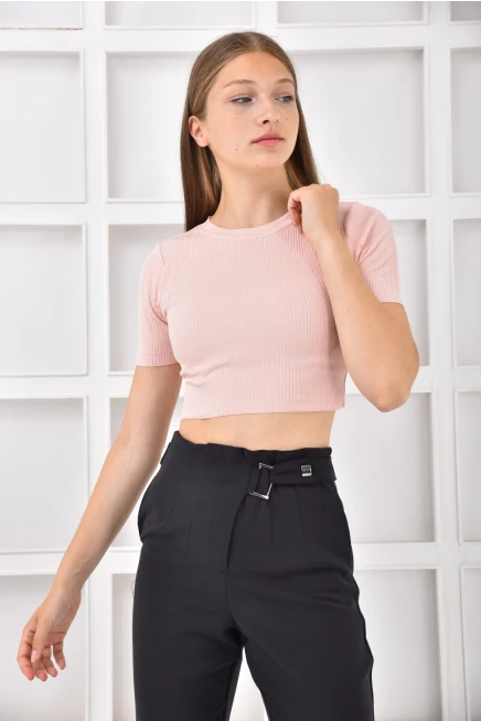 Womens Crew Neck Basic Crop Knitwear Blouse