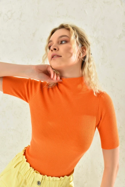 Womens Half Turtleneck Short Sleeve Basic Knitwear Blouse