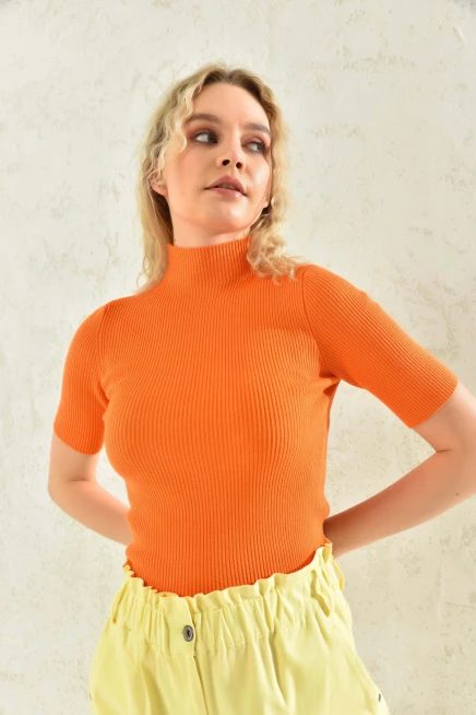 Womens Half Turtleneck Short Sleeve Basic Knitwear Blouse