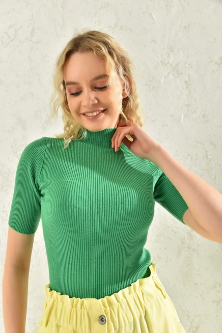 Womens Half Turtleneck Short Sleeve Basic Knitwear Blouse