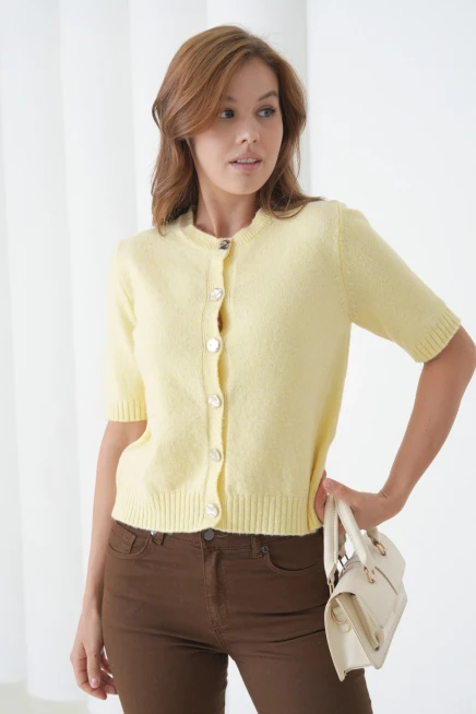 Kadın Bisiklet Yaka Düğme Kapama Yün Karışımlı Simli Triko Kazak 8643Sw