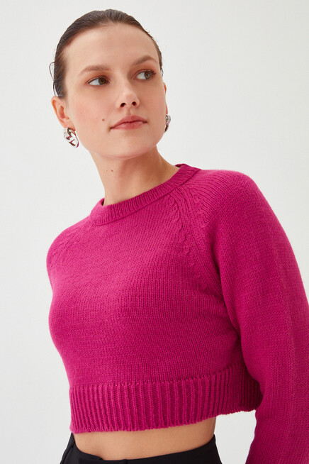 Womens Purple Crew Neck Soft Textured Crop Knitwear Sweater